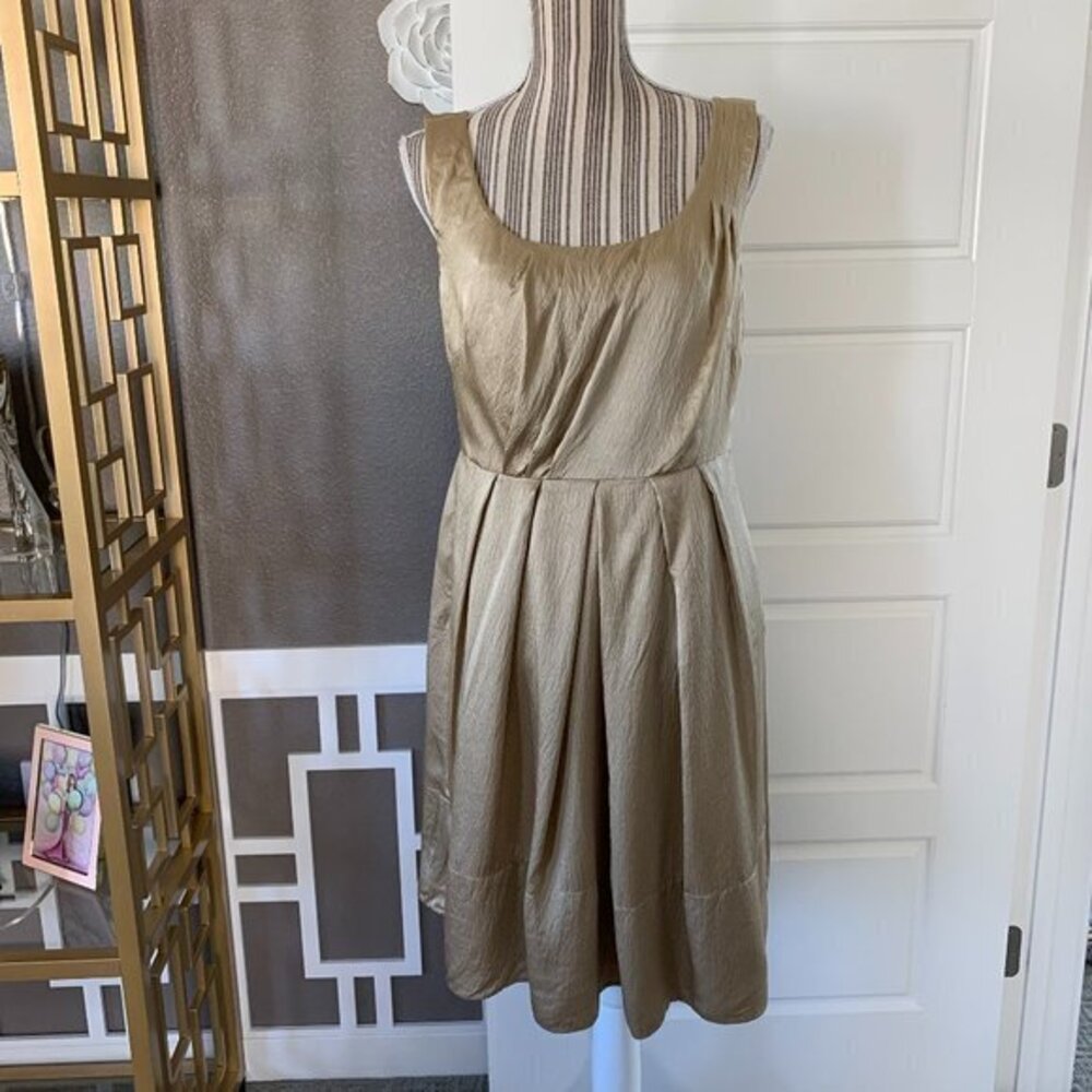 Banana Republic Champagne Silk Dress